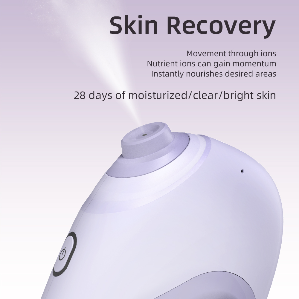 Nano Facial Sprayer Water Stea - Hair Care Spray 评论和价格