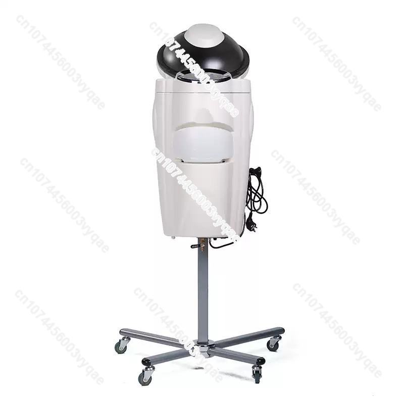 Oil Treatment Ozone Micro Mist - Hair Care Tools 评论和价格