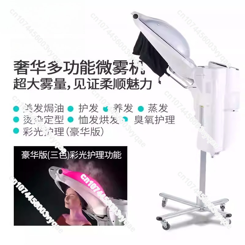 Oil Treatment Ozone Micro Mist - Hair Care Tools 评论和价格