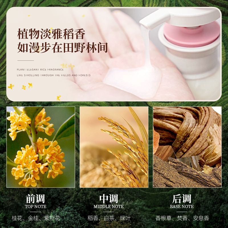 Changfa Xiaozhai Rice Water Sh - Hair Care With Rice Water 评论和价格